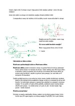 Образец документа 'Spektroskopijas metodes medicīnā', 125.