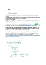 Образец документа 'Spektroskopijas metodes medicīnā', 128.