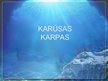 Презентация 'Karūsas, karpas', 1.