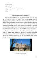 Реферат 'Tūrisma ietekme Parīzes Dievmātes katedrāli', 4.