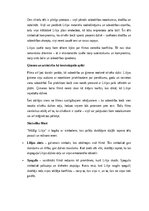 Эссе 'Pārspriedums par filmu “Mūžīgi Lilija”', 4.