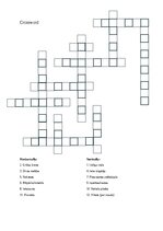 Образец документа 'Practical activity - crossword on various topics', 1.