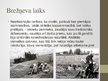 Презентация 'Lauksaimniecība Latvijas PSR', 28.