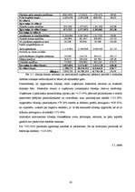Дипломная 'Uzņēmumu AS "Rautakesko" un SIA "Depo-DIY" finansiālās darbības analīze', 42.