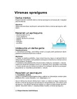 Образец документа 'Virsmas spraigums', 1.