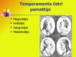 Презентация 'Temperaments', 4.