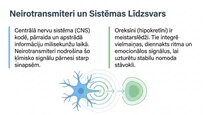 Презентация 'Oreksīni', 2.