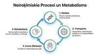 Презентация 'Oreksīni', 19.