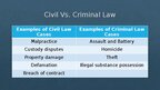 Презентация 'What is Criminal Law?', 5.
