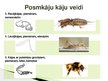Презентация 'Posmkāji', 7.