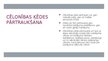 Презентация 'Cēloniskais sakars kā civiltiesiskās atbildības priekšnoteikums', 13.