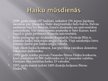 Реферат 'Japāņu dzejas formas haiku vēsture un attīstība', 62.