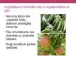 Презентация 'Vielas augļu un dārzeņu uzglabāšanai', 4.