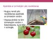 Презентация 'Vielas augļu un dārzeņu uzglabāšanai', 5.