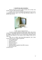Реферат 'Datoru monitoru uzbūve un raksturlielumi', 13.