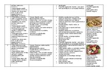 Конспект 'Tematiskais plāns mācību priekšmetā "Dizains un tehnoloģijas" 2. klase', 3.