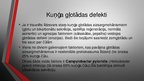 Презентация 'Kuņģis. Histoloģijas kurss', 10.