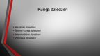 Презентация 'Kuņģis. Histoloģijas kurss', 15.