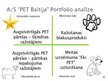 Презентация 'AS "PET Baltija" mārketinga vides pētījums', 21.