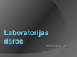 Презентация 'Laboratorijas darbs', 1.