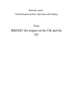 Реферат 'Brexit: the Impact on the UK and the EU', 1.
