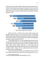 Дипломная 'Akcīzes preču kontrabandas novēršana Latgales MKP', 10.