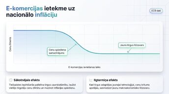 Презентация 'E-komercijas ietekme uz tradicionālo mazumtirdzniecību Latvijā', 4.