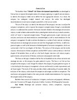 Дипломная 'Uzņēmuma SIA "Aironi" nākotnes attīstības iespējas', 3.