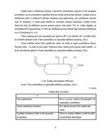 Дипломная 'Uzņēmuma SIA "Aironi" nākotnes attīstības iespējas', 9.
