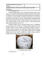 Дипломная 'Uzņēmuma SIA "Aironi" nākotnes attīstības iespējas', 10.