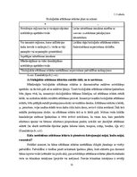 Дипломная 'Uzņēmuma SIA "Aironi" nākotnes attīstības iespējas', 11.