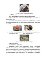 Дипломная 'Uzņēmuma SIA "Aironi" nākotnes attīstības iespējas', 22.