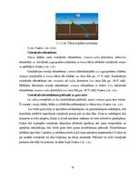 Дипломная 'Uzņēmuma SIA "Aironi" nākotnes attīstības iespējas', 25.