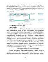 Дипломная 'Uzņēmuma SIA "Aironi" nākotnes attīstības iespējas', 29.