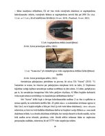 Дипломная 'Uzņēmuma SIA "Aironi" nākotnes attīstības iespējas', 34.