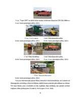 Дипломная 'Uzņēmuma SIA "Aironi" nākotnes attīstības iespējas', 35.