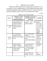 Дипломная 'Uzņēmuma SIA "Aironi" nākotnes attīstības iespējas', 38.