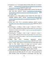 Дипломная 'Uzņēmuma SIA "Aironi" nākotnes attīstības iespējas', 64.