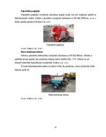 Дипломная 'Uzņēmuma SIA "Aironi" nākotnes attīstības iespējas', 73.