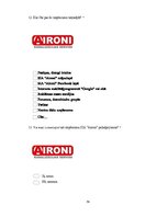 Дипломная 'Uzņēmuma SIA "Aironi" nākotnes attīstības iespējas', 79.