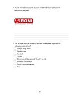 Дипломная 'Uzņēmuma SIA "Aironi" nākotnes attīstības iespējas', 80.