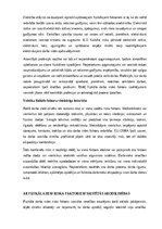 Конспект 'Fizikālie riska faktori un ar tiem saistītās arodslimības', 5.