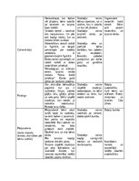 Образец документа 'Kvalifikācijas eksāmens pirmsskolas skolotāja specialitātē', 4.