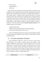 Реферат 'A/s "Valmieras stikla šķiedra" finanšu darbības un stratēģijas analīze', 44.