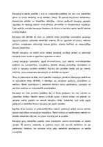 Эссе 'Korupcija – tiesiska, ētiska un sociāla problēma', 1.