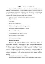 Отчёт по практике 'Kvalifikācijas prakse komercdarbībā un uzņēmuma vadībā  SIA "Euroindex"', 6.