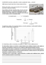 Образец документа 'Aritmētiskie aprēķini un grafiku analīze', 3.