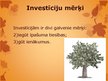 Презентация 'Investīcijas', 4.