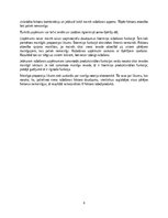 Эссе 'Ražošanas funkcija un ražošanas resursu veidi', 6.