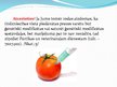 Презентация 'Ģenētiski modificētā pārtika', 9.